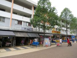 Clementi Avenue 3 (D5), Shop House #541250141